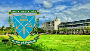 বিশ্ববিদ্যালয়ের শিক্ষককে মারধর, আবাসিক এলাকায় ককটেল বিস্ফোরণ